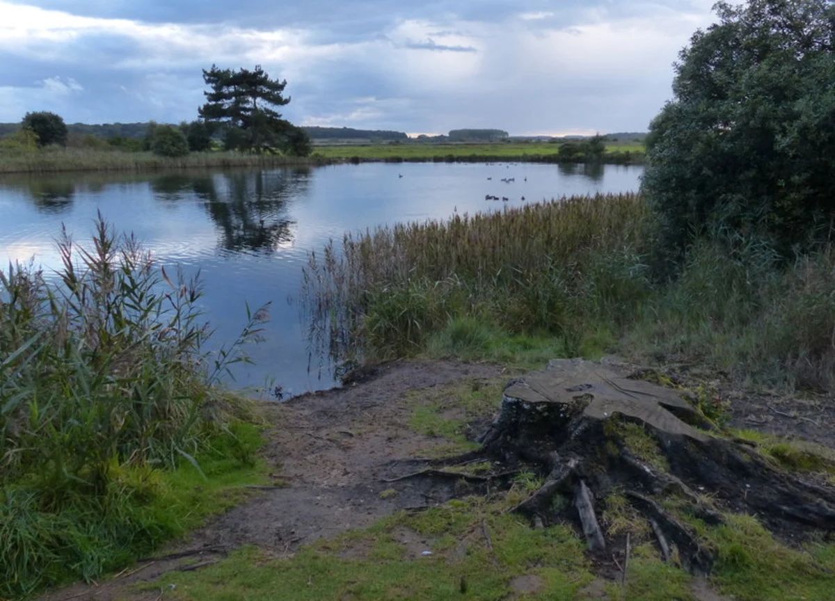 Wells next the Sea and Holkham Loop