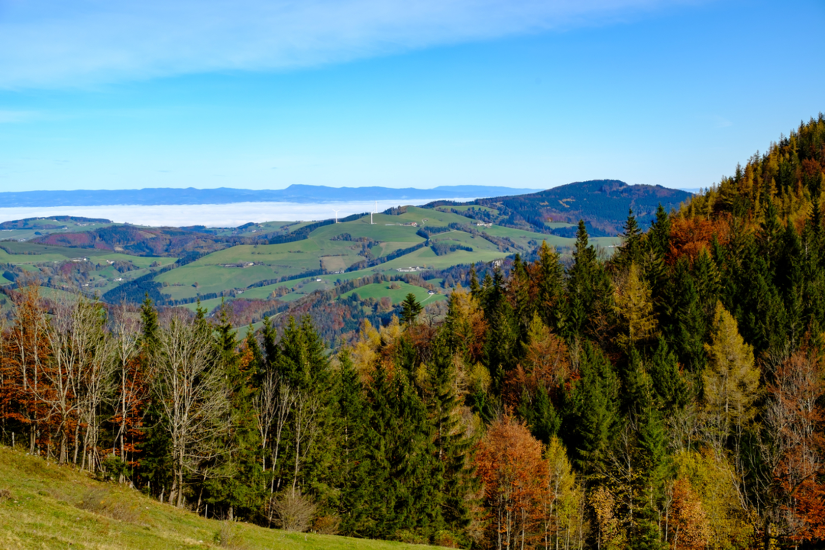 An image depicting the trail Anton Schosser Hütte via Losenstein-Klausgraben and its surrounding area.