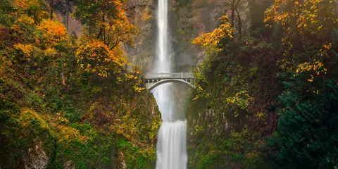 An image depicting the trail Mark O Hatfield Trail and its surrounding area.