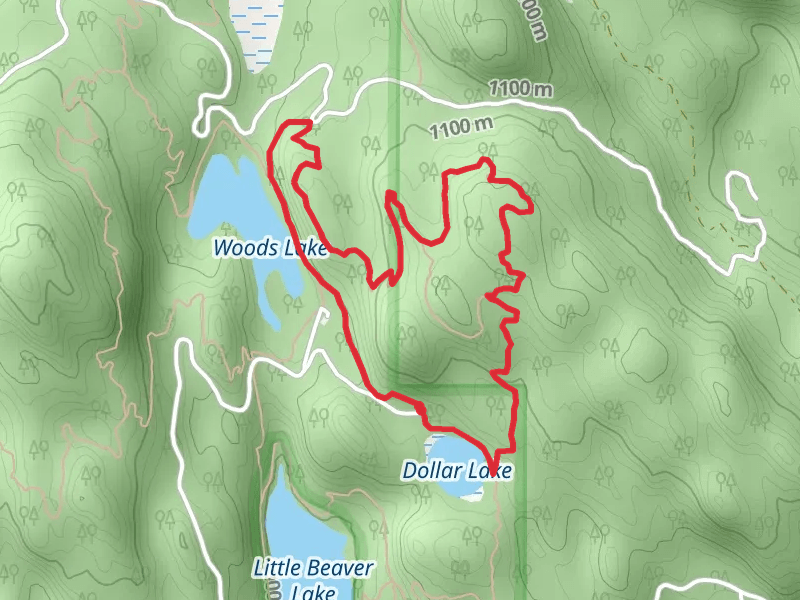 Dollar Lake and Whitefish Trail - Woods Lake Loop