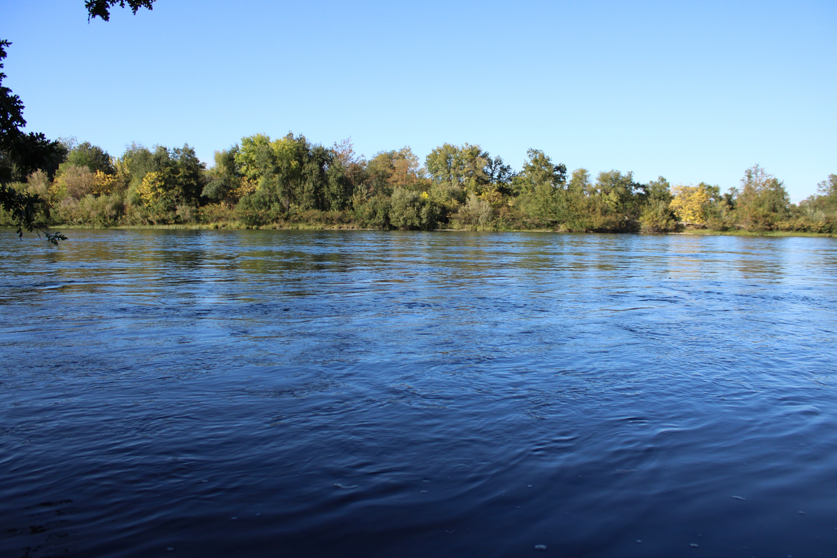 Anderson River Park Loop - West