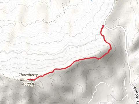 Thornberry Mountain from Teaford Saddle