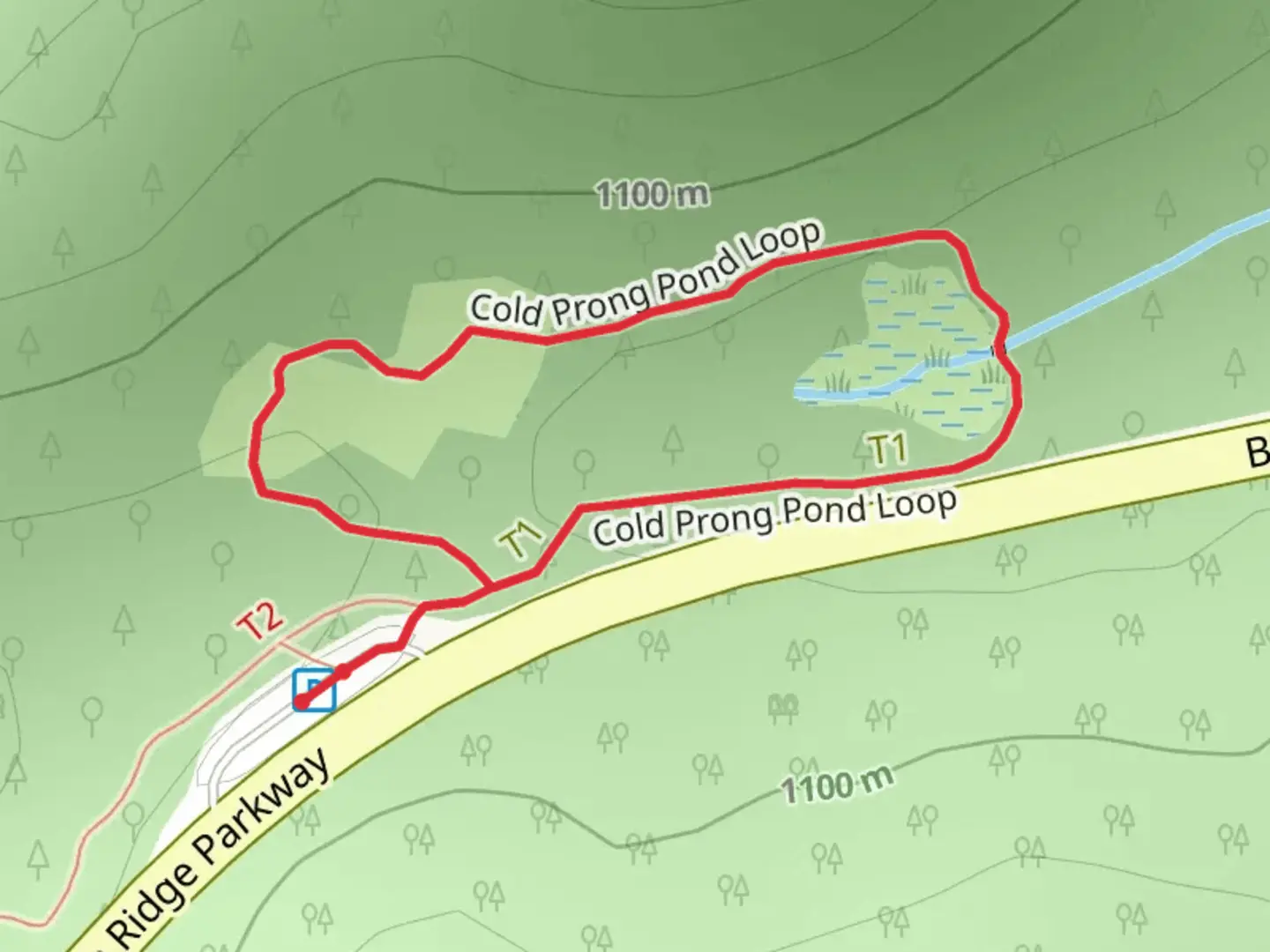 An image depicting the trail Cold Prong Pond Loop and its surrounding area.