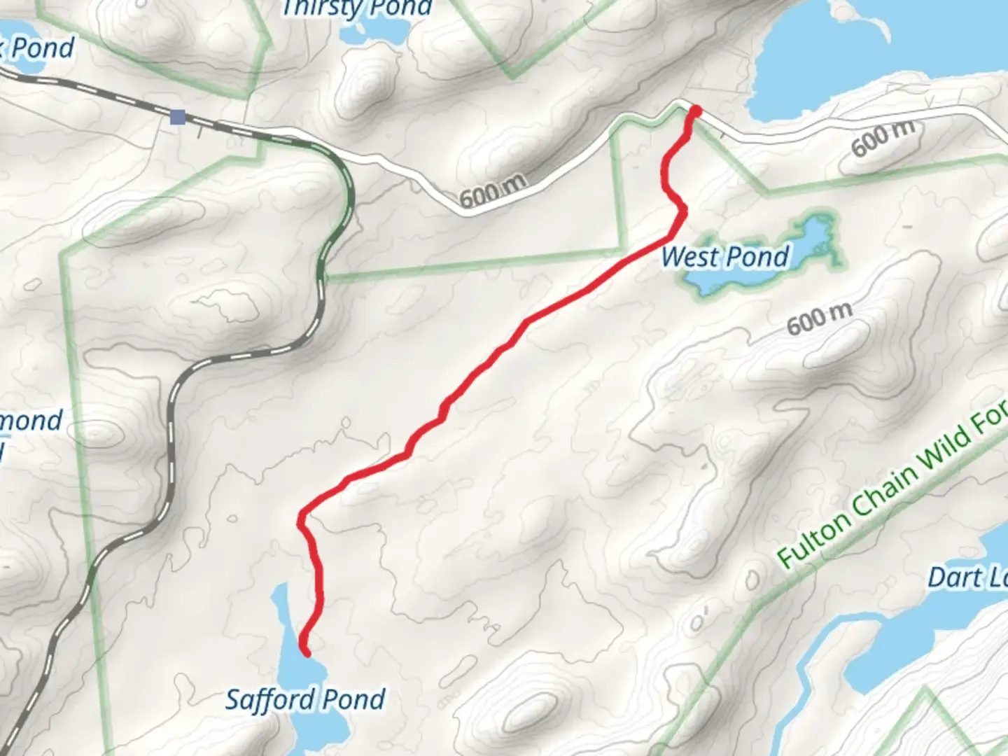 An image depicting the trail Safford Pond Trail and its surrounding area.