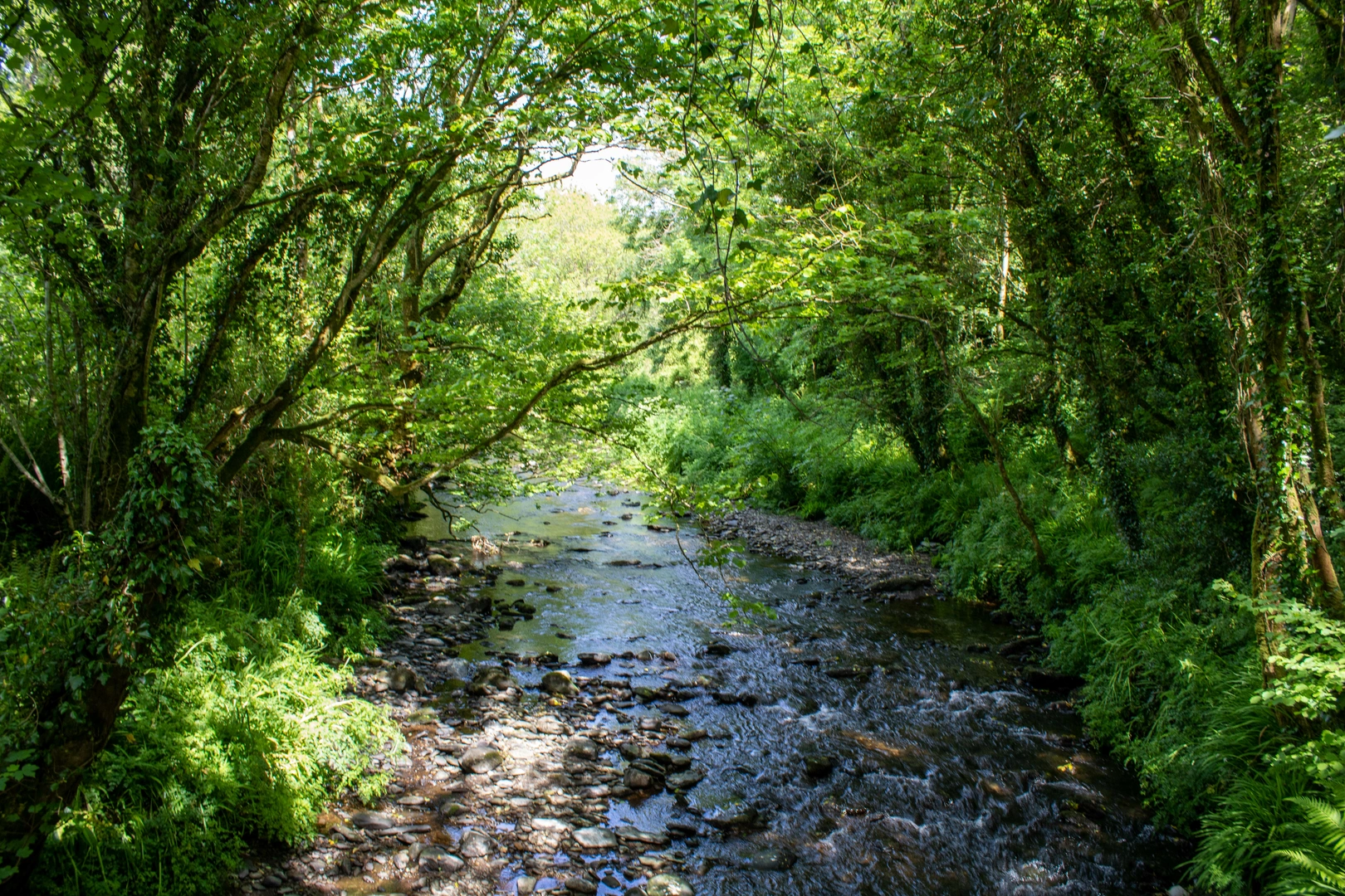 An image depicting the trail Drimoleague Heritage Trail and its surrounding area.