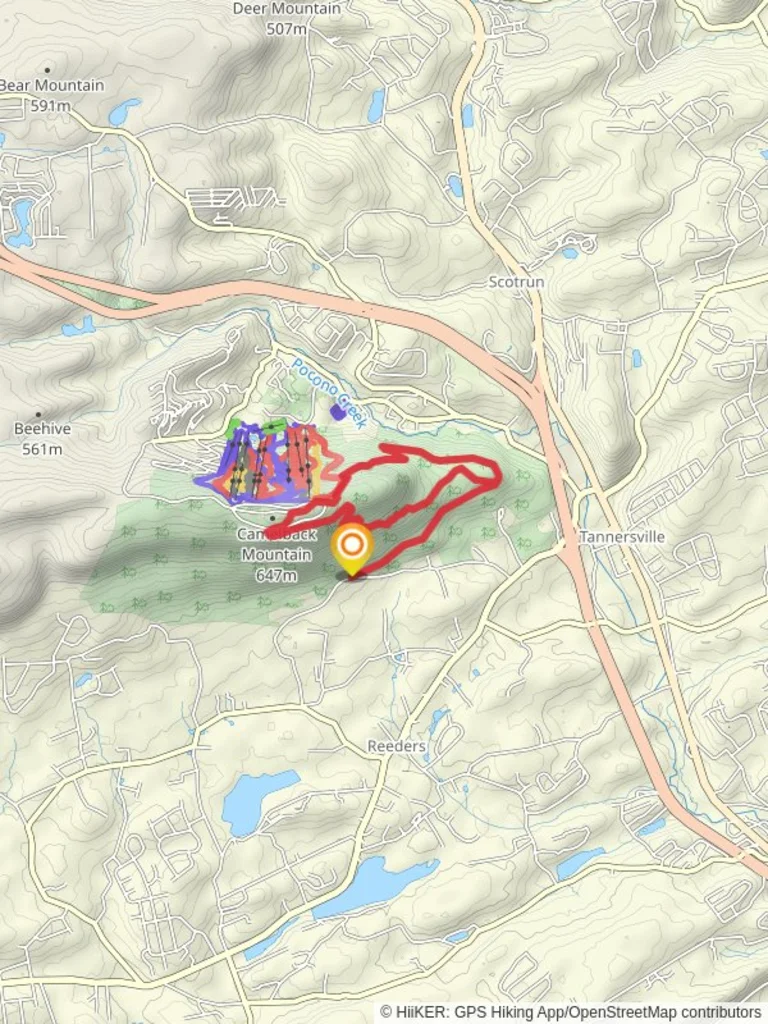 An image depicting the trail Big Pocono State Park Loop Trail and its surrounding area.