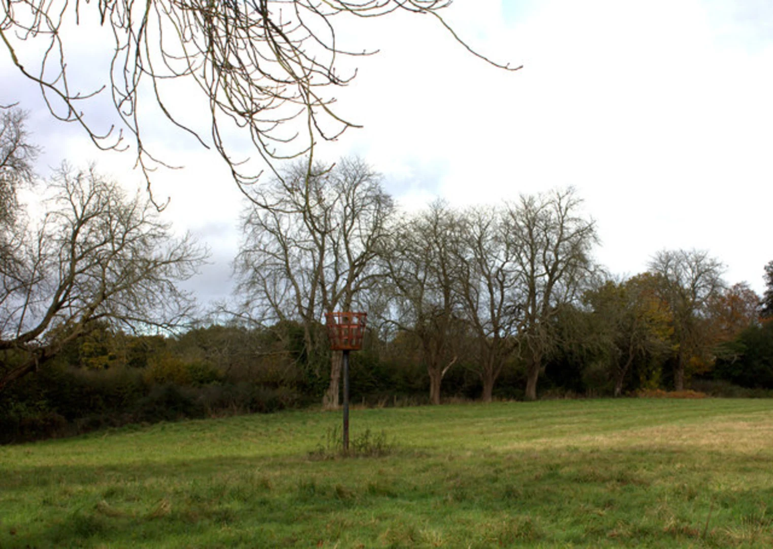 An image depicting the trail Rotherfield Greys Loop and its surrounding area.