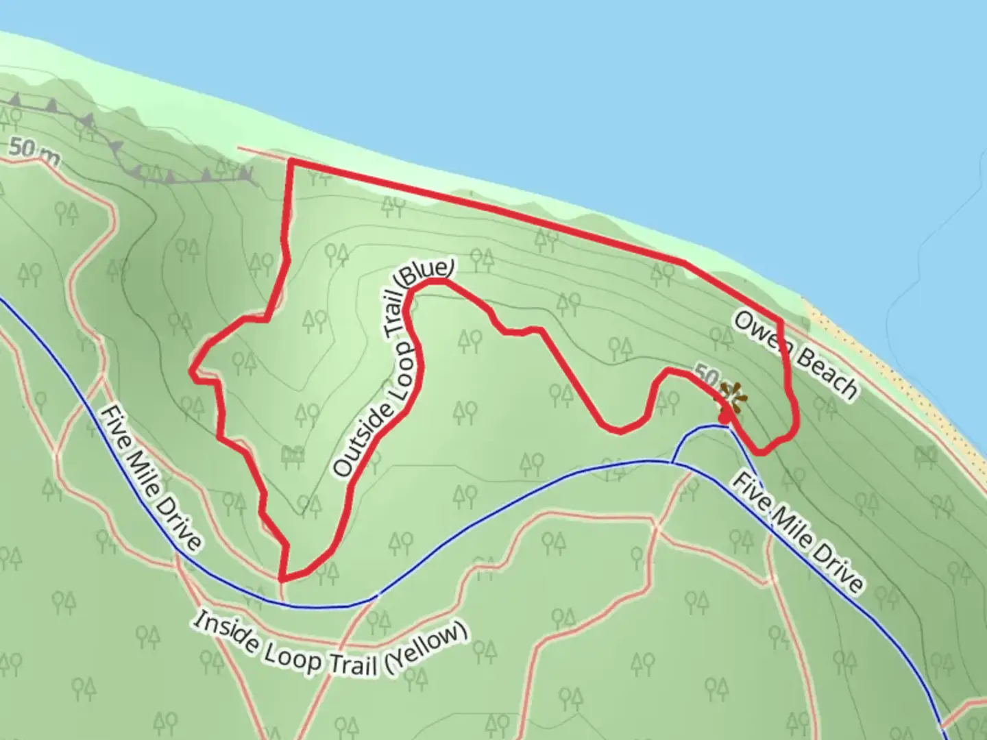 An image depicting the trail Owen Beach Loop and its surrounding area.