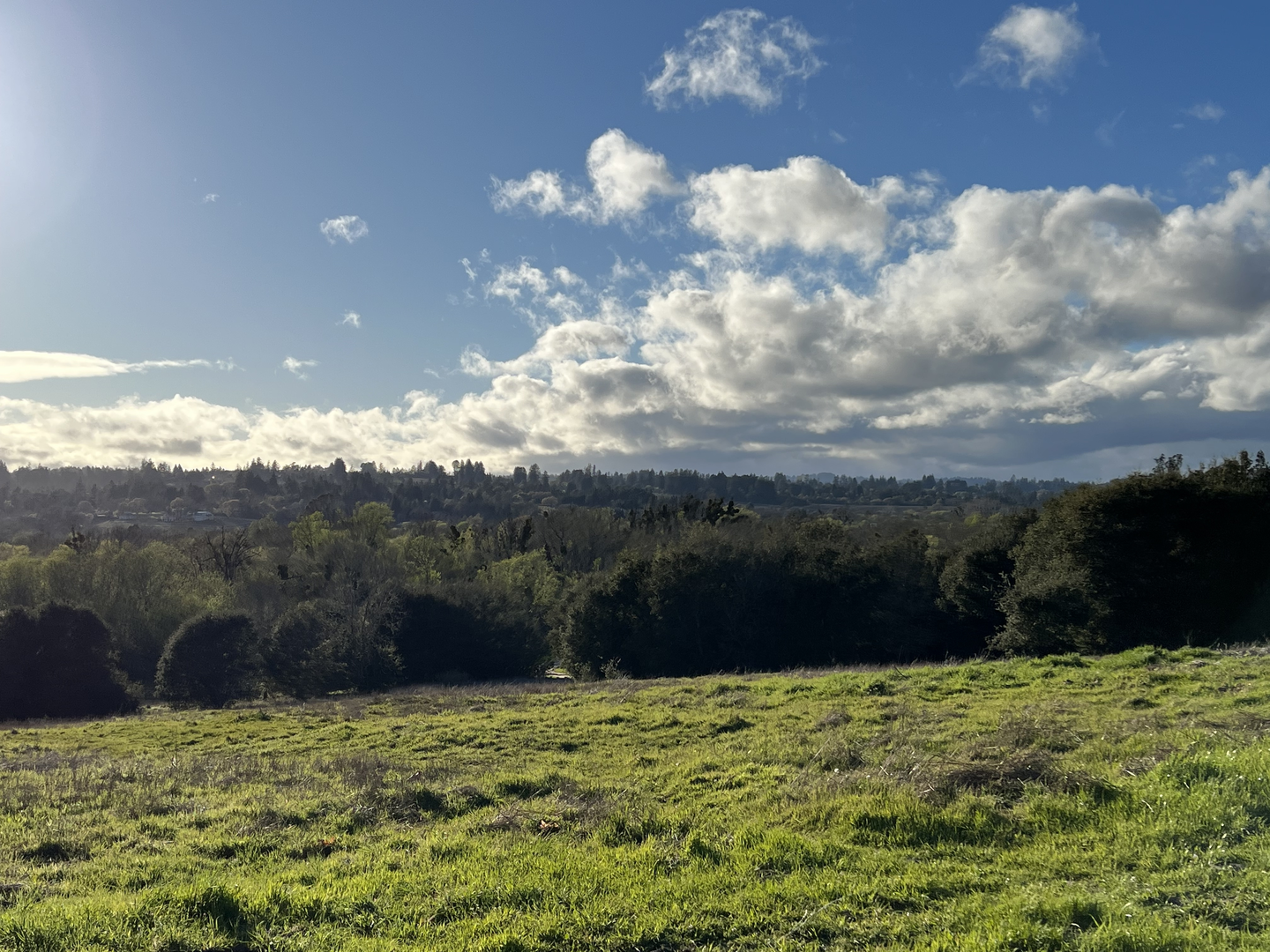 An image depicting the trail Thistle and Creek Loop Trail and its surrounding area.