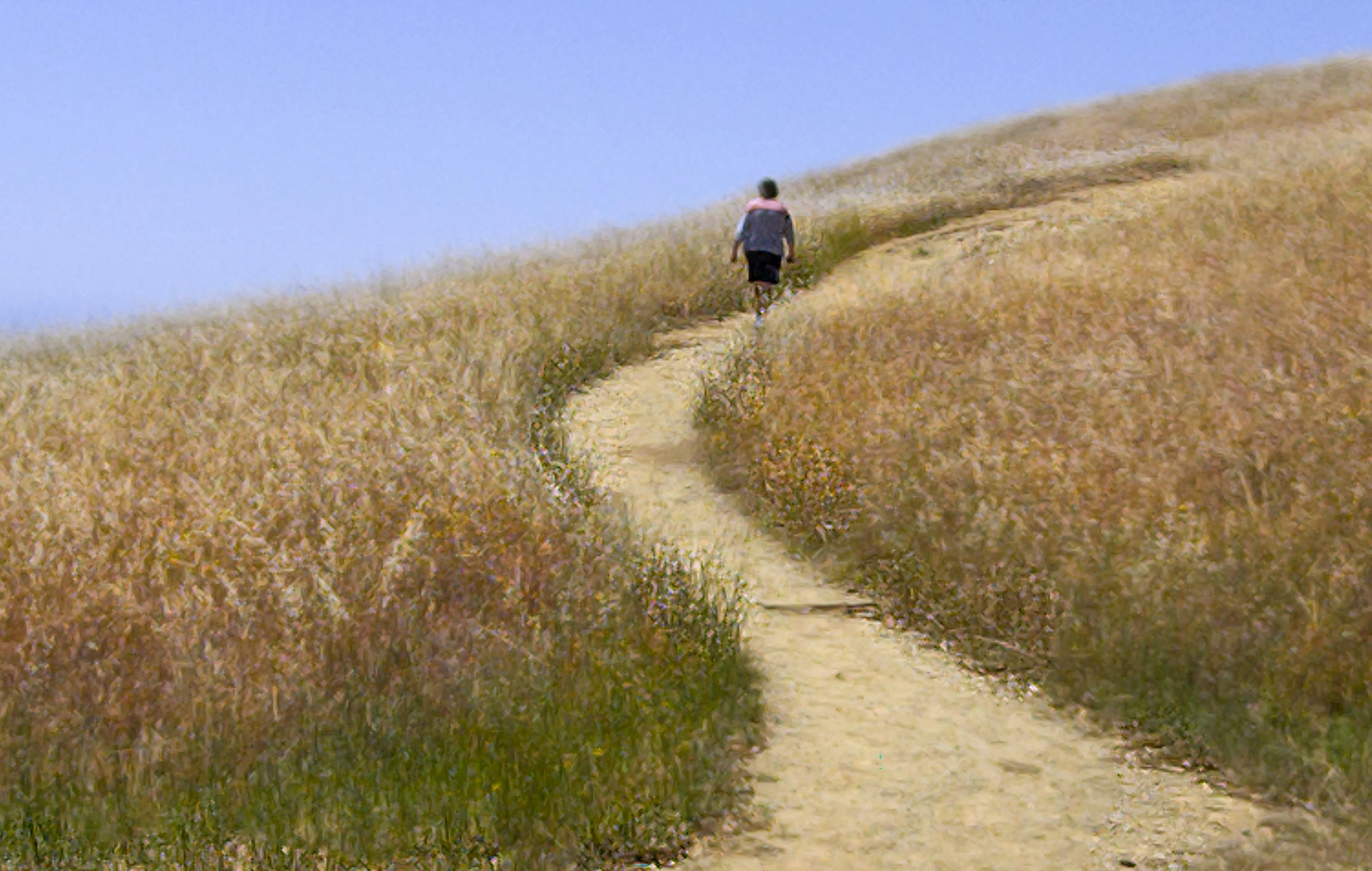 An image depicting the trail Pantoll Campground via Steep Ravine Trail and its surrounding area.