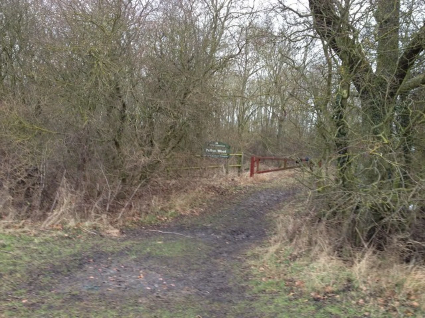 An image depicting the trail Potton Wood Loop and its surrounding area.