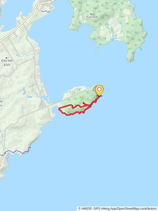 Quoddy Head Loop from Quoddy Head Road