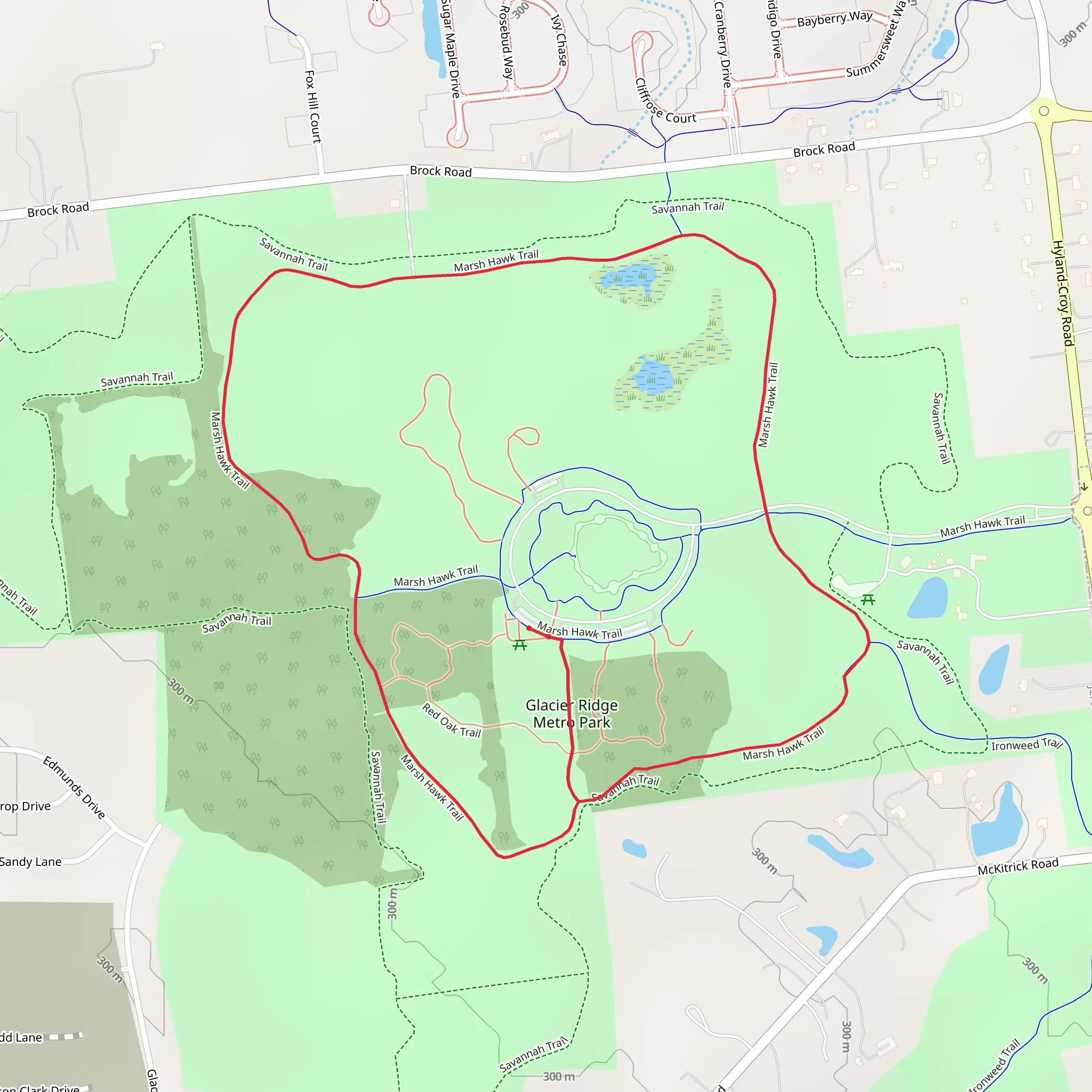 Marsh Hawk Long Loop mobile static map