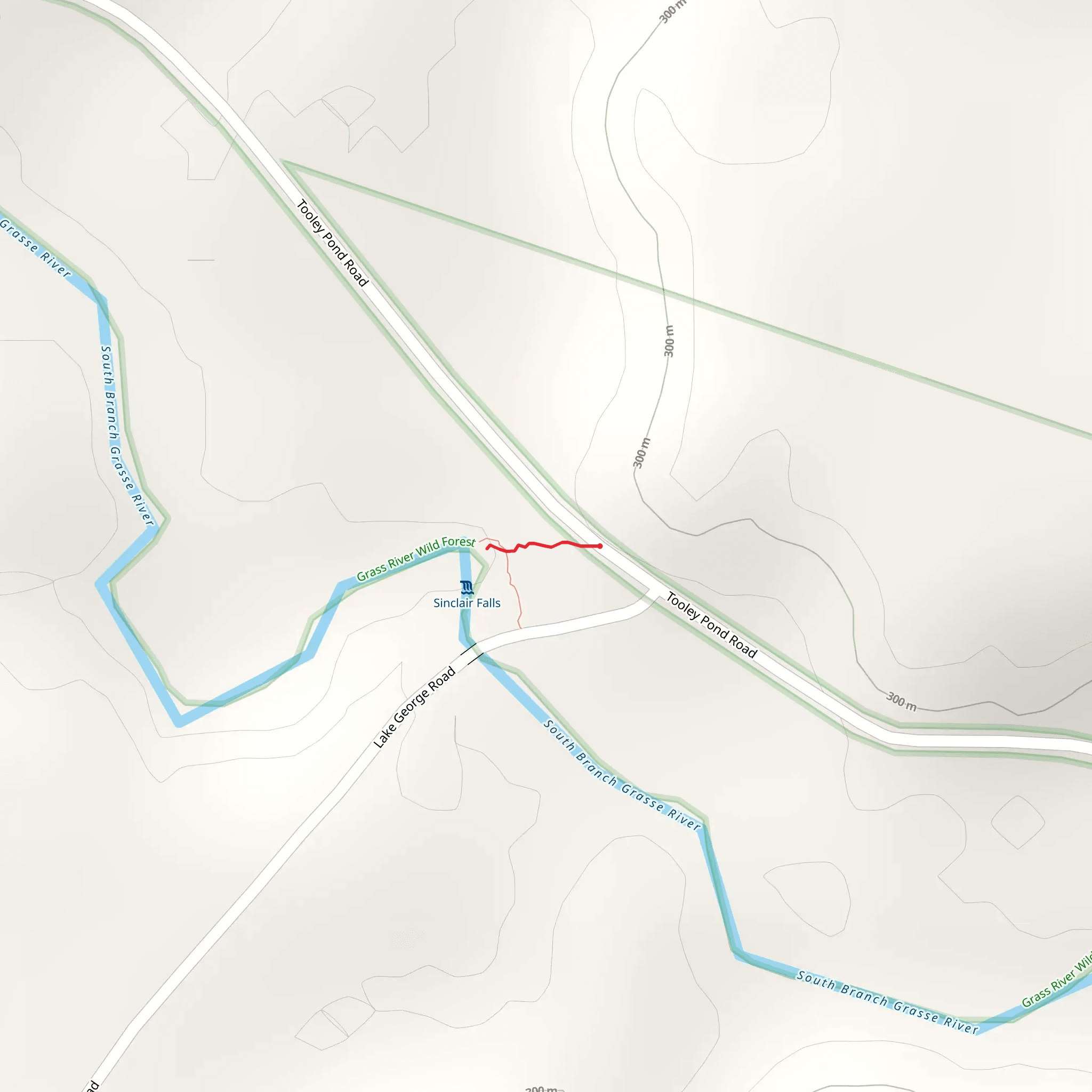 Tooley Pond Road Trail mobile static map