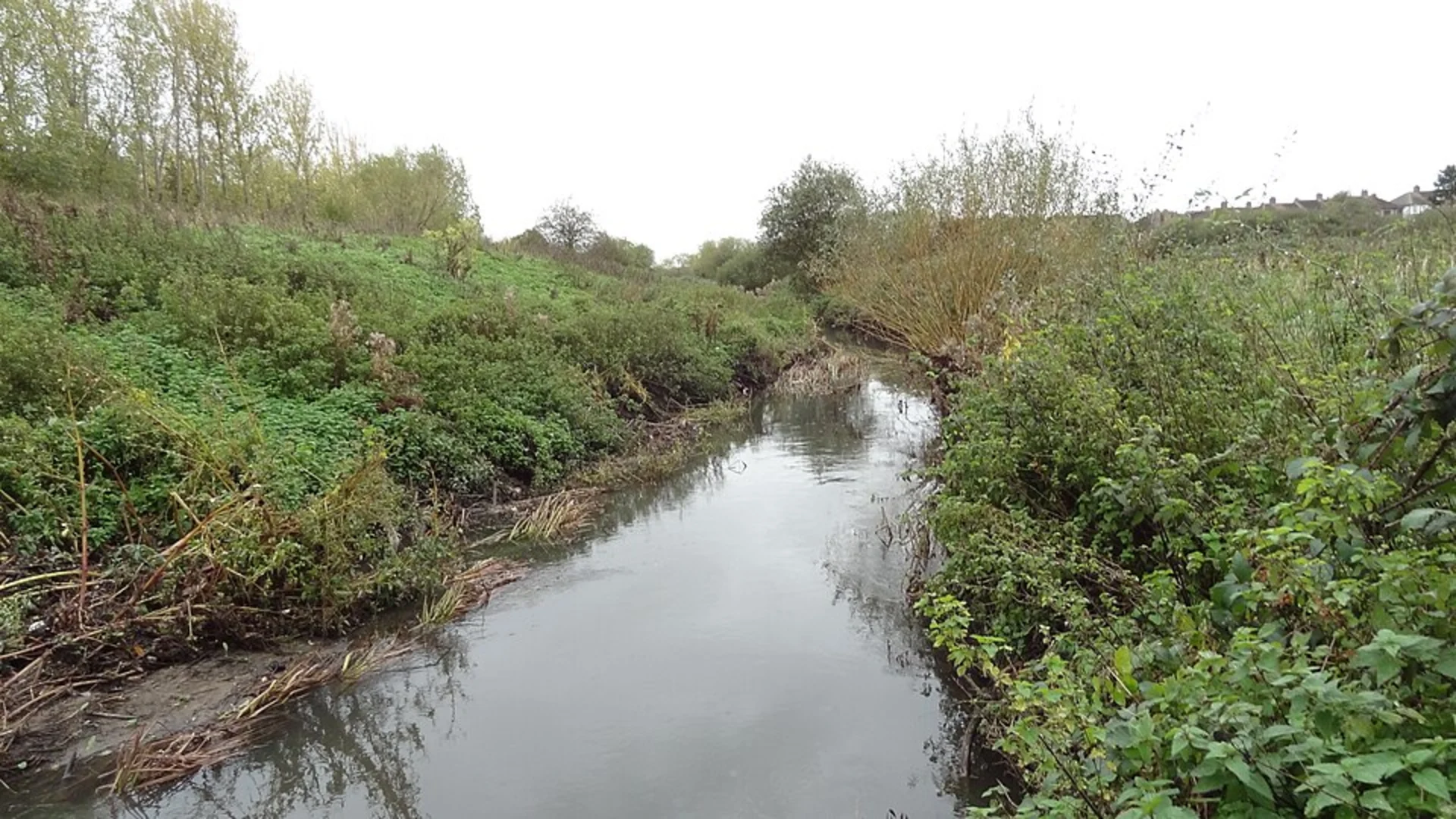 An image depicting the trail Beam Parklands and Eastbrookend Country Park Loop and its surrounding area.