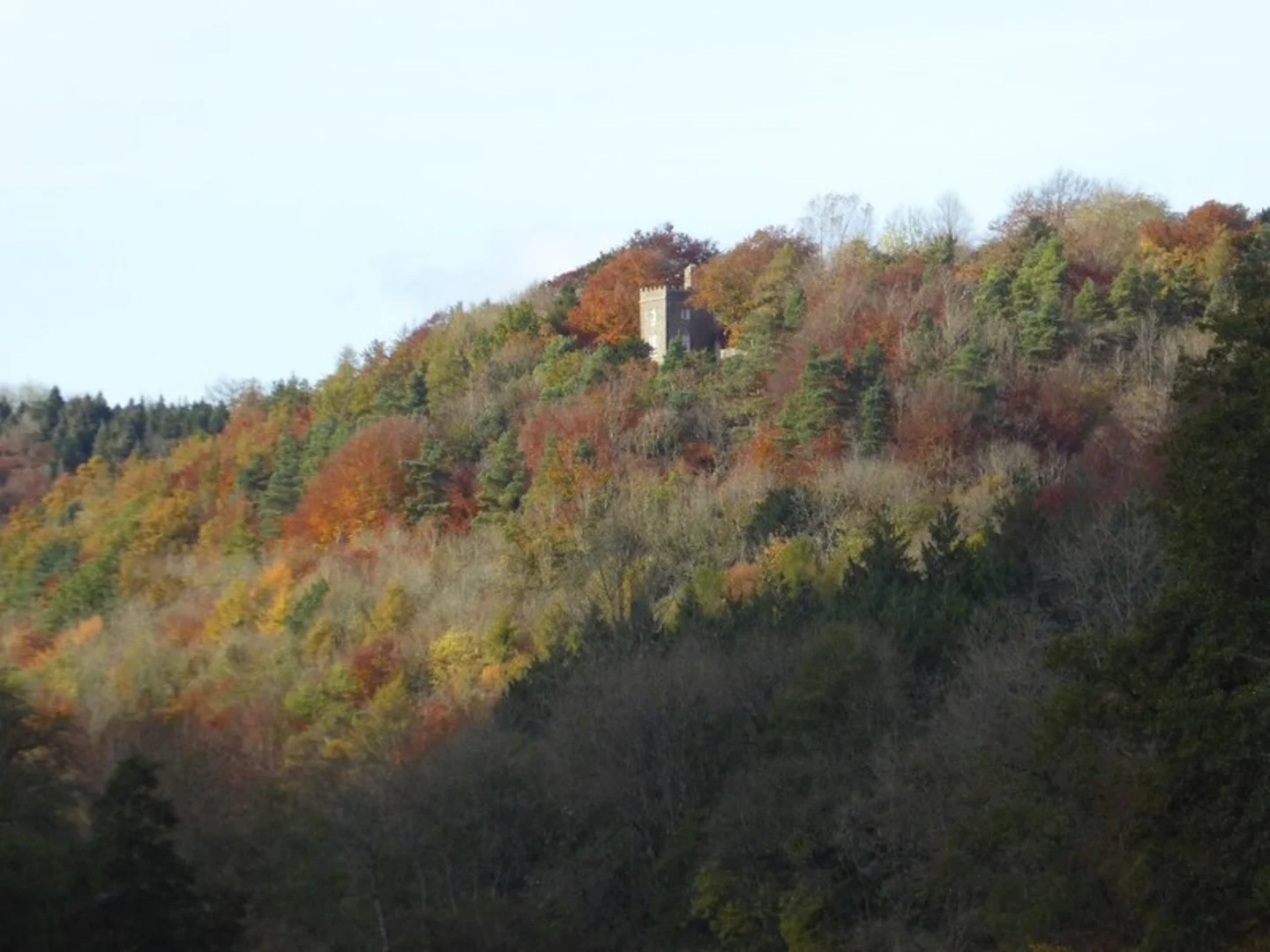 An image depicting the trail Woodchester Park, Middle Pond and Parkmill Pond Loop and its surrounding area.