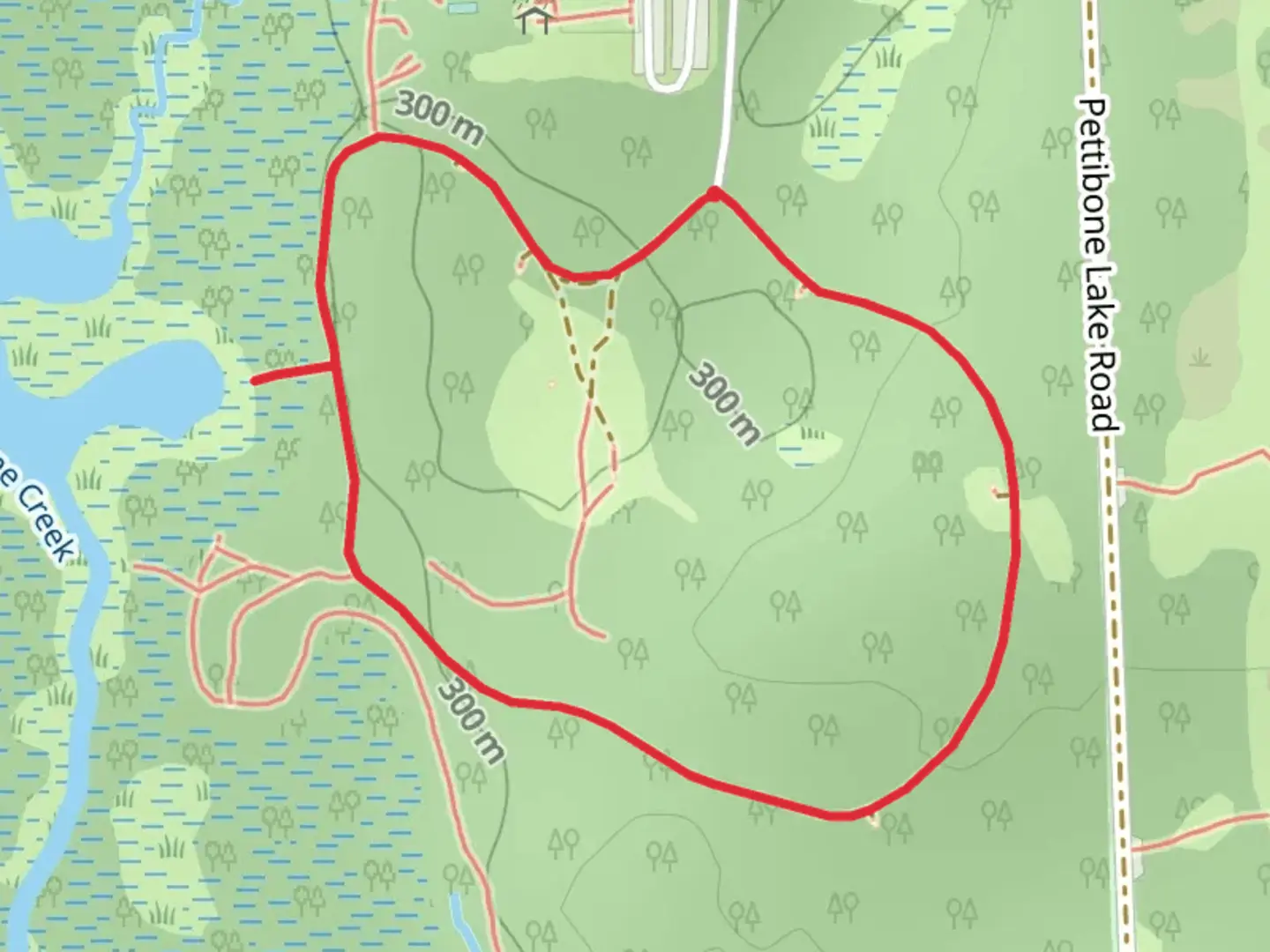 An image depicting the trail Pettibone Lake Road Loop and its surrounding area.