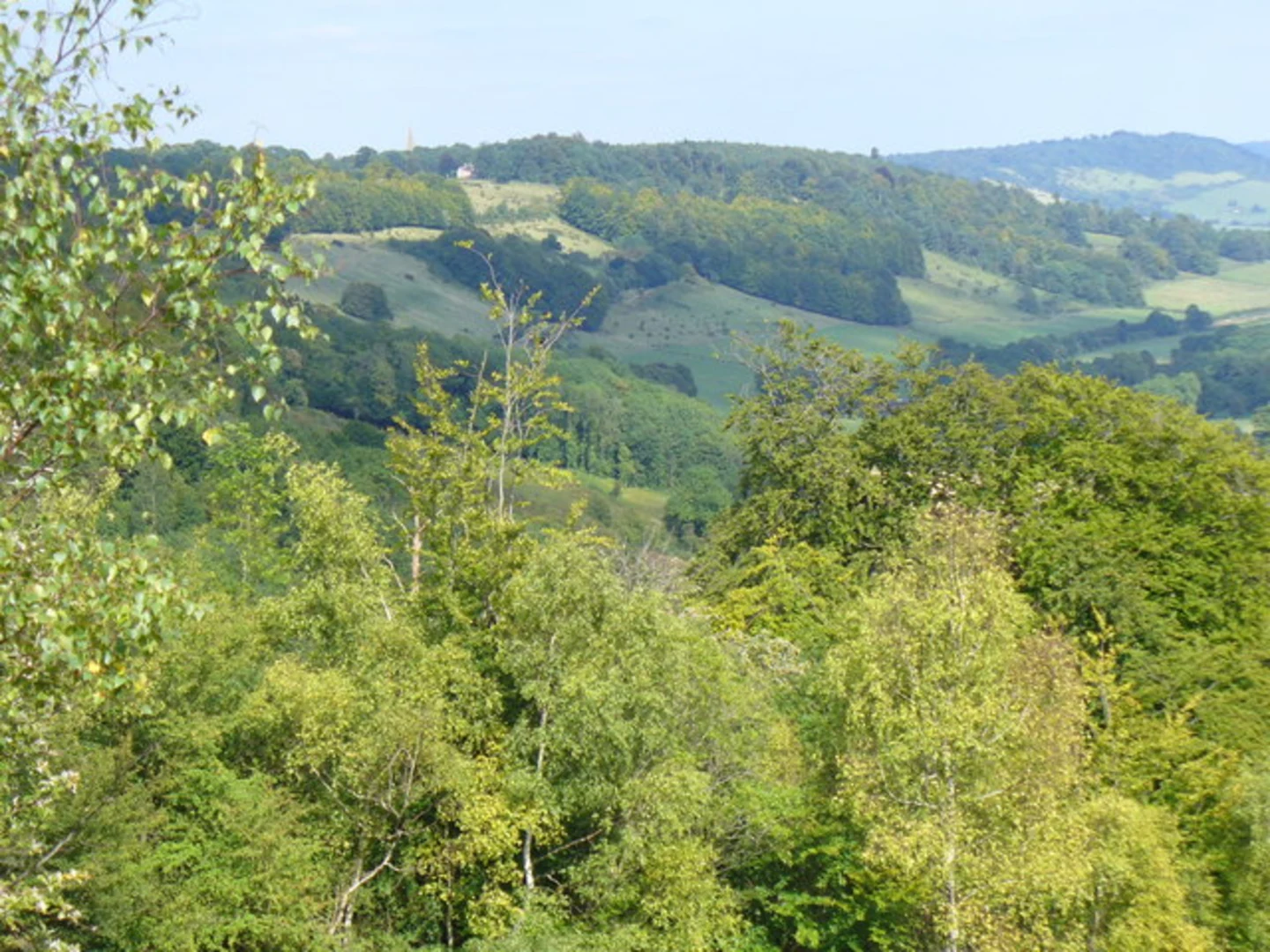 An image depicting the trail Westhumble, Brockham and Westcott Loop via Deerleap Wood and its surrounding area.