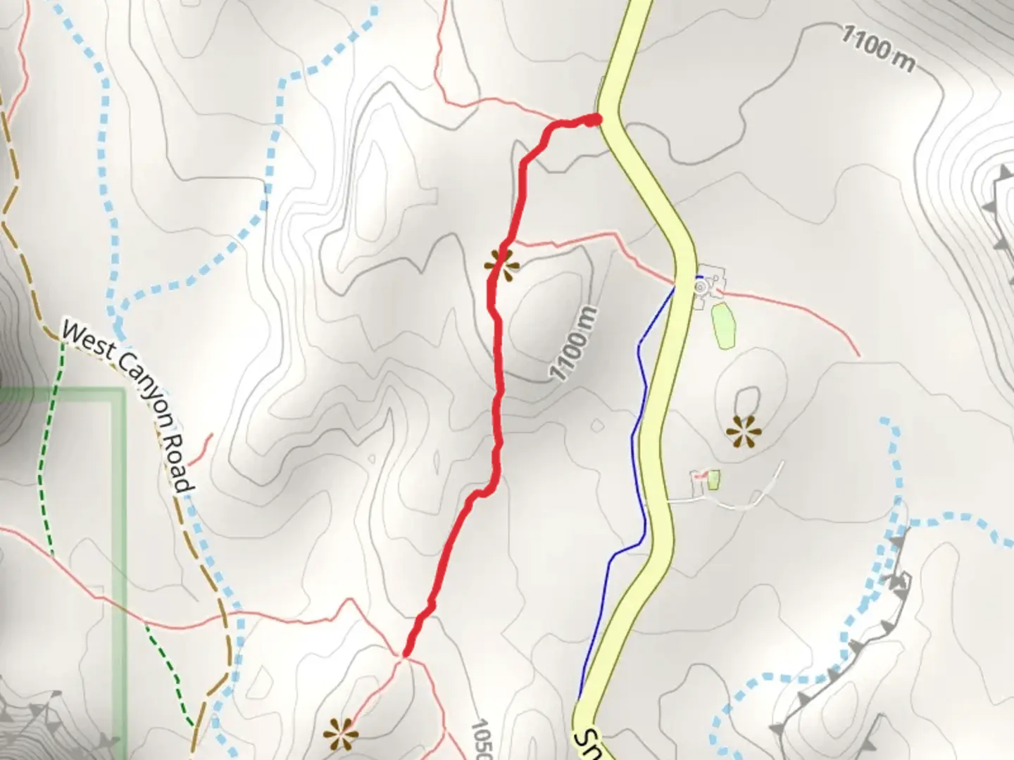 An image depicting the trail Petrified Dunes Trail and its surrounding area.