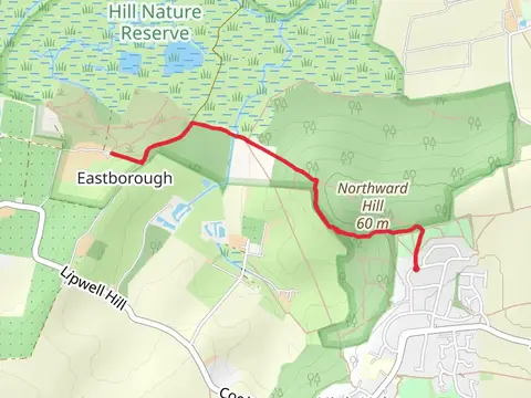 Northward Hill Nature Reserve Walk