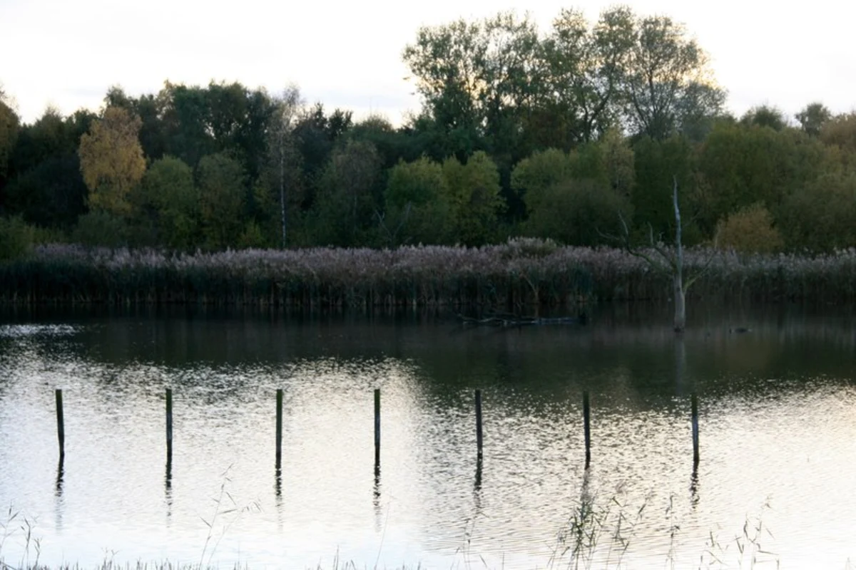 Potteric Carr Nature Reserve