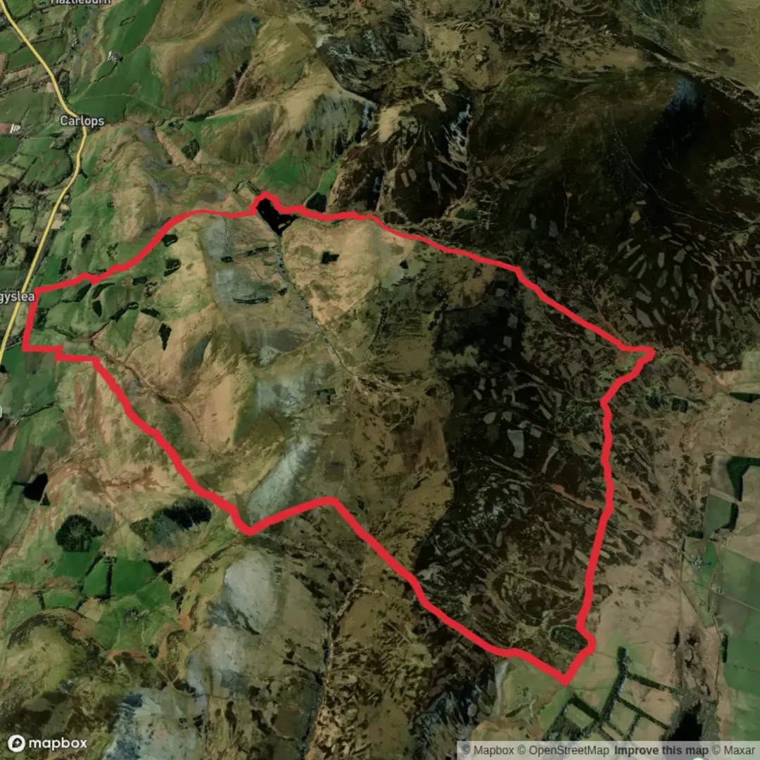 An image depicting the trail Ninemileburn Loop and its surrounding area.