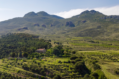 Circular through Miedes de Aragón - Tour of the Sierra de Espigar PR Z 094-b