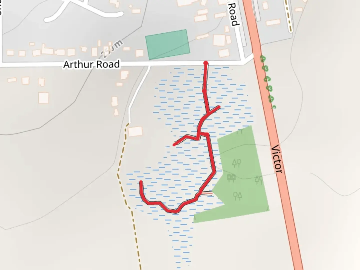 An image depicting the trail Mt Compass School Swamp Wetlands Walk and its surrounding area.