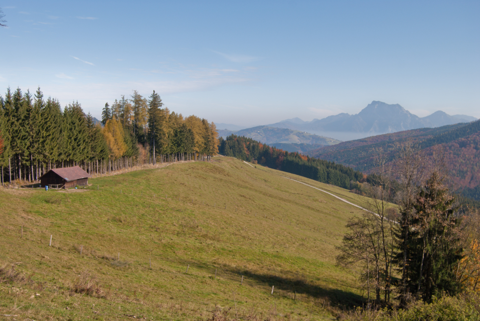 An image depicting the trail Marktwald - Gahberg and its surrounding area.