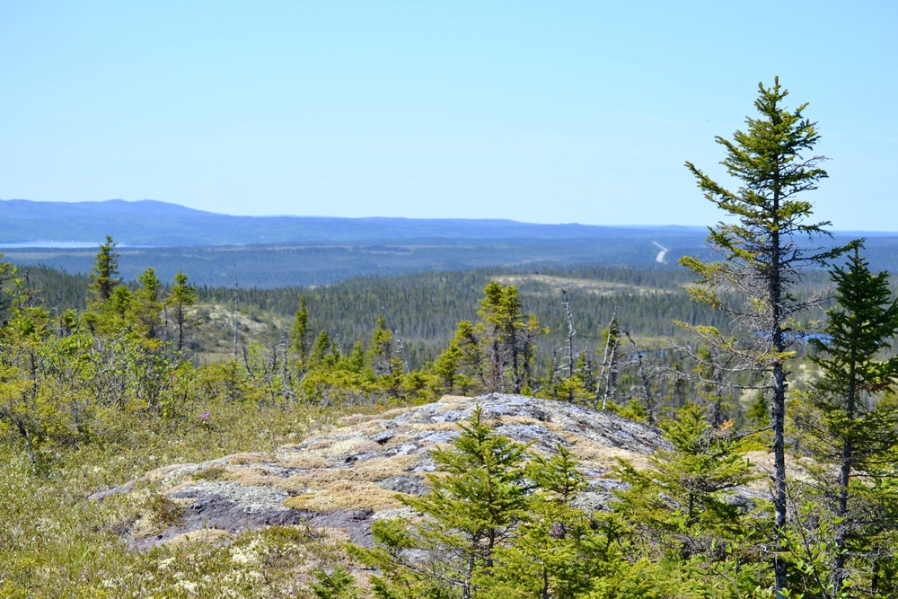 An image depicting the trail Terra Nova National Park Oof Canada and its surrounding area.