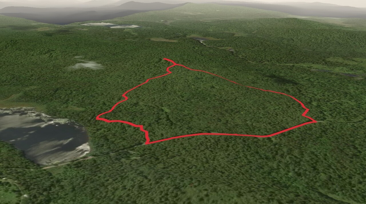 Tooley Pond Mountain Trail Loop