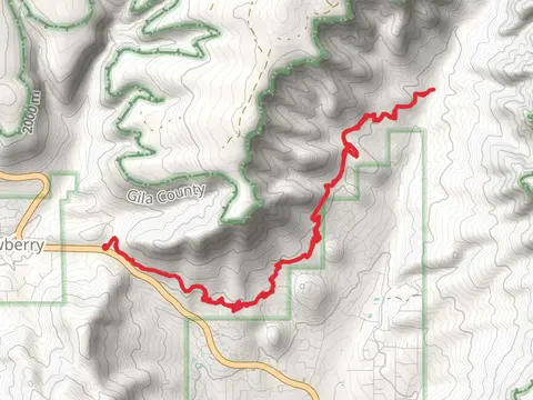 Pine Canyon Creek Trail