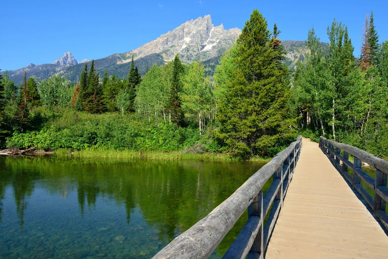 An image depicting the trail Hidden Falls via Jenny Lake Trail and its surrounding area.