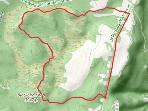 Bear Rocks Trail and ADT Loop