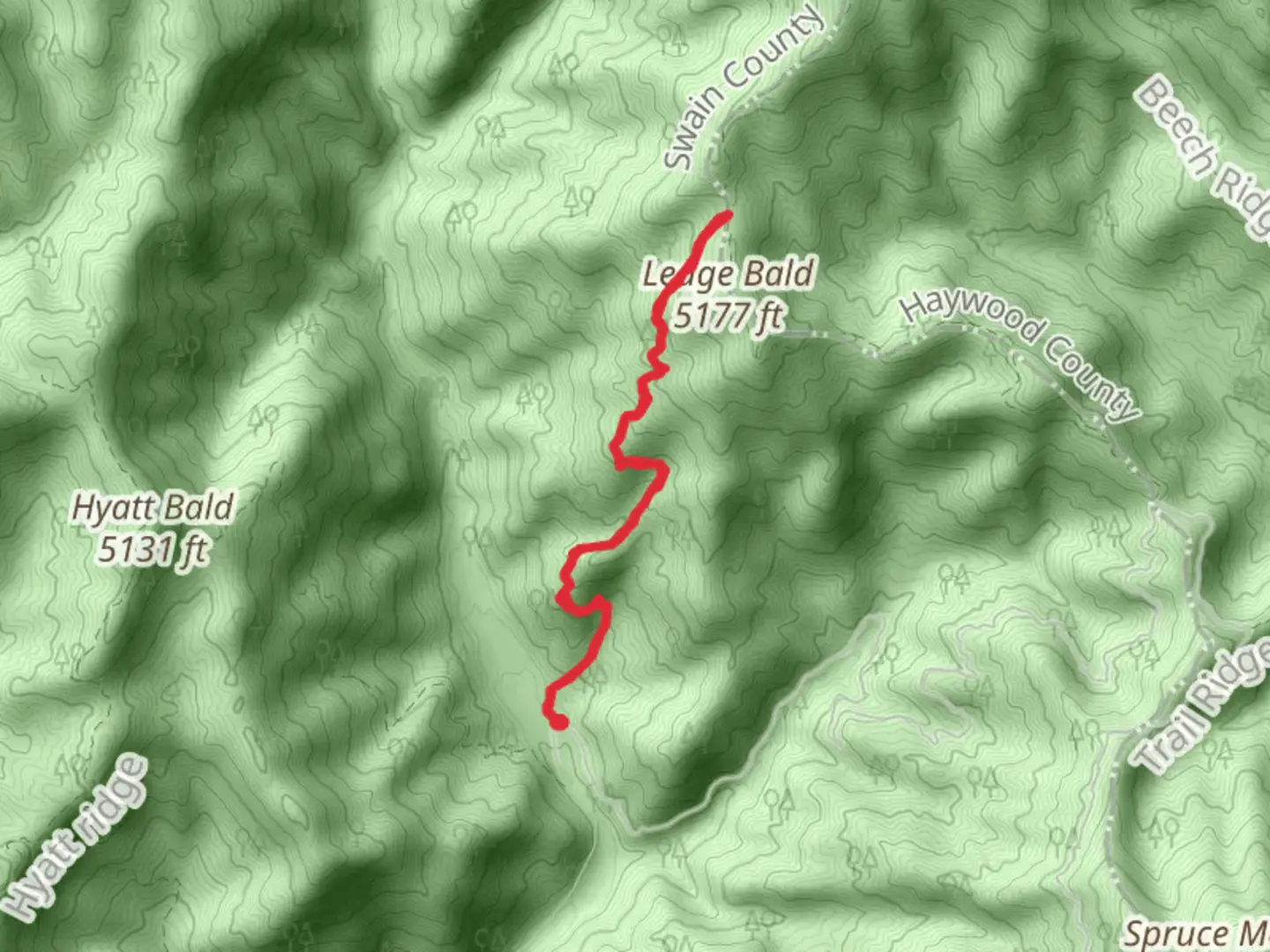 An image depicting the trail Beech Gap Trail - East and its surrounding area.