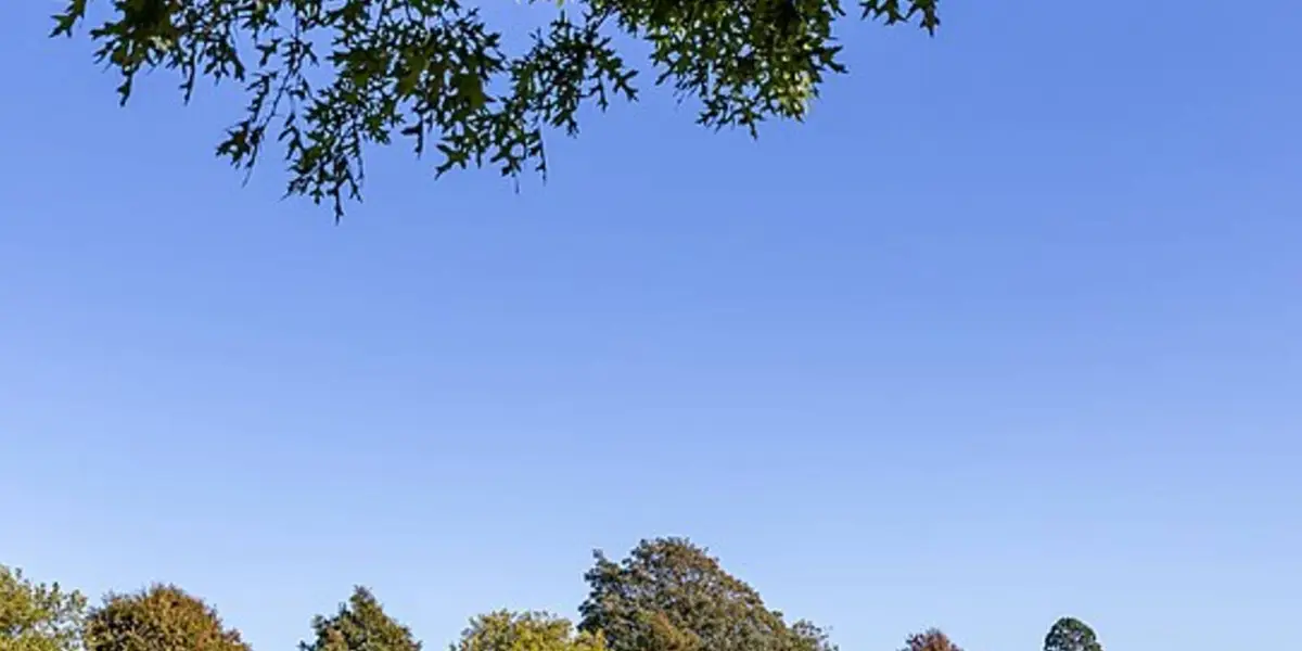 Halfway Te Ara Trail Circle