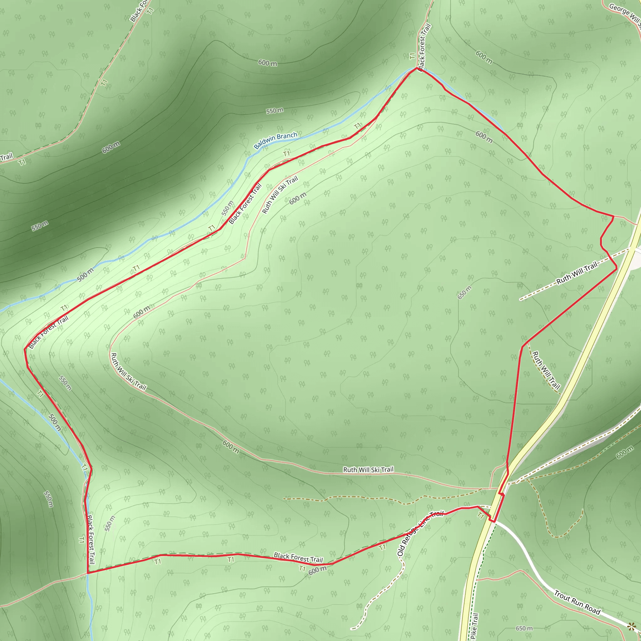Baldwin Branch - Black Forest Loop Trail mobile static map