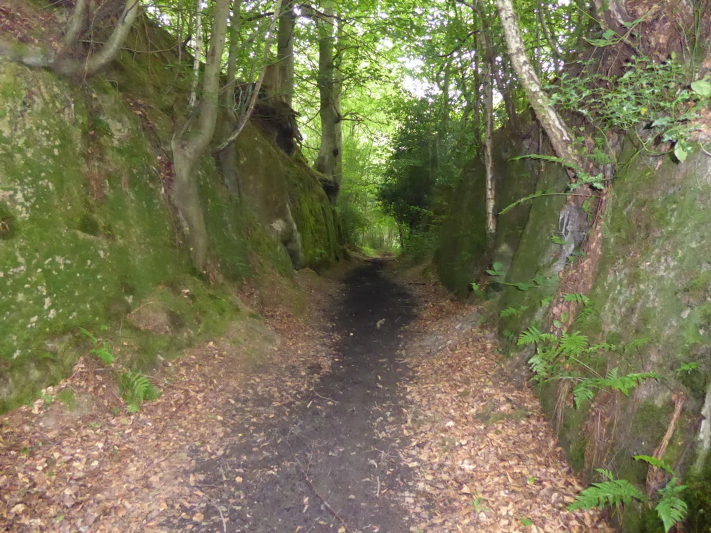 An image depicting the trail Chiddingstone to Penshurst Loop and its surrounding area.