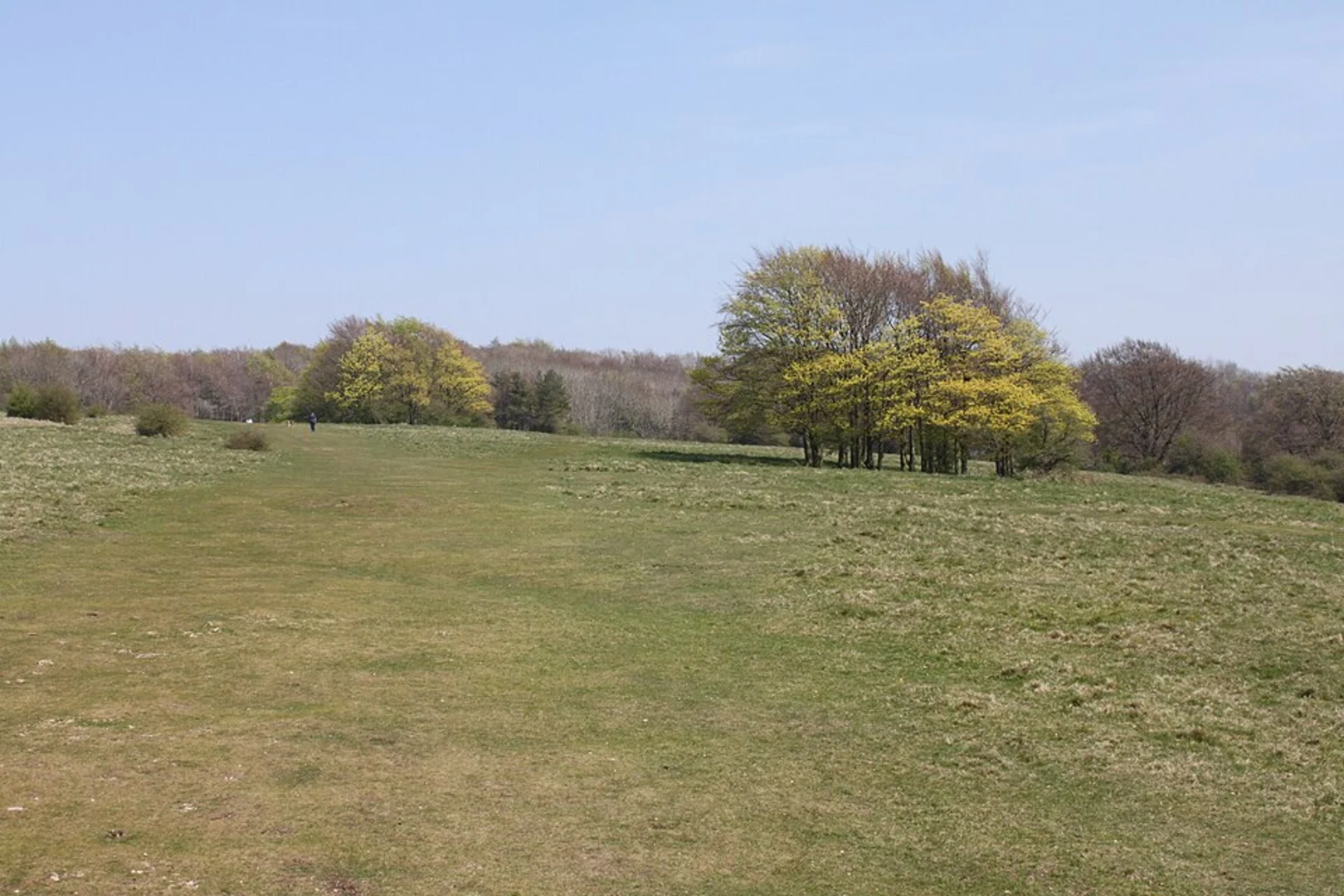 An image depicting the trail Haresfield Beacon and Standish Wood and Coaley Peak via Cotswold Way and its surrounding area.