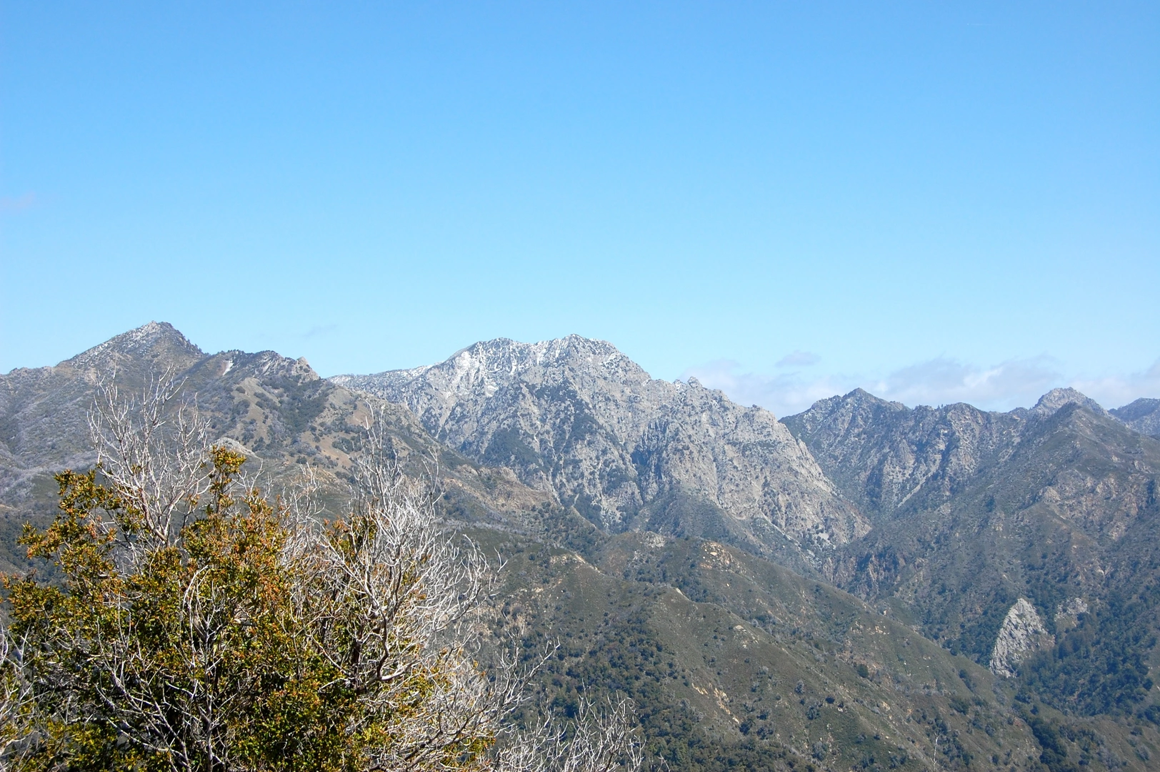 An image depicting the trail Ventana Double Cone via Skinner Ridge Trail and its surrounding area.