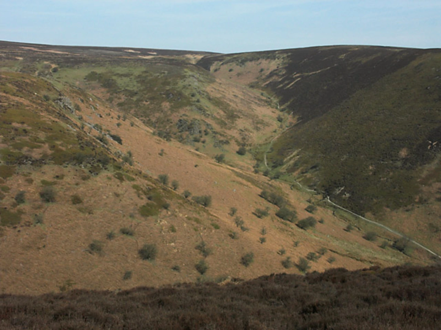An image depicting the trail Boiling Well, Long Synalds and AShes Hollow Loop and its surrounding area.