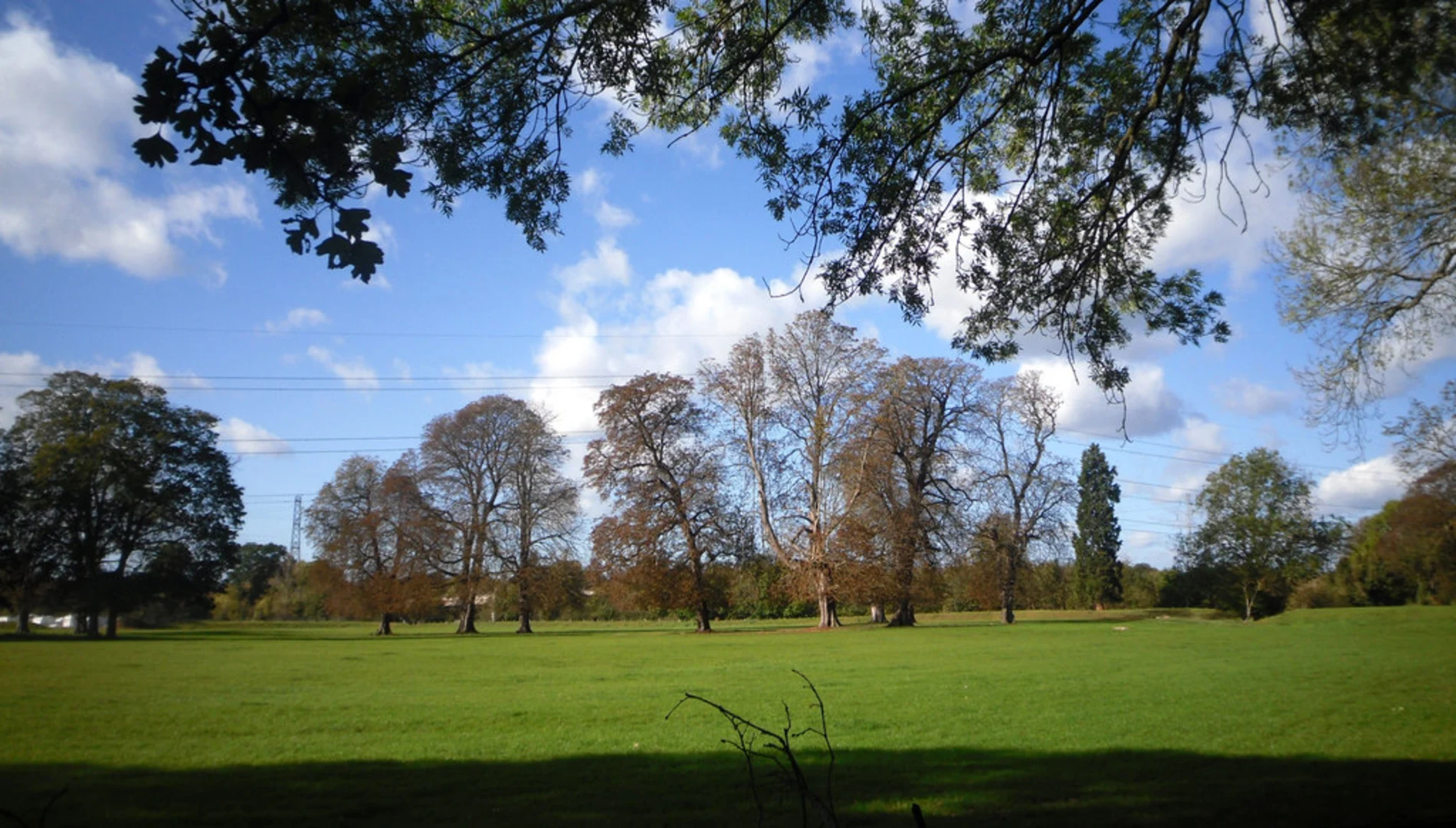 An image depicting the trail Iver Loop and its surrounding area.