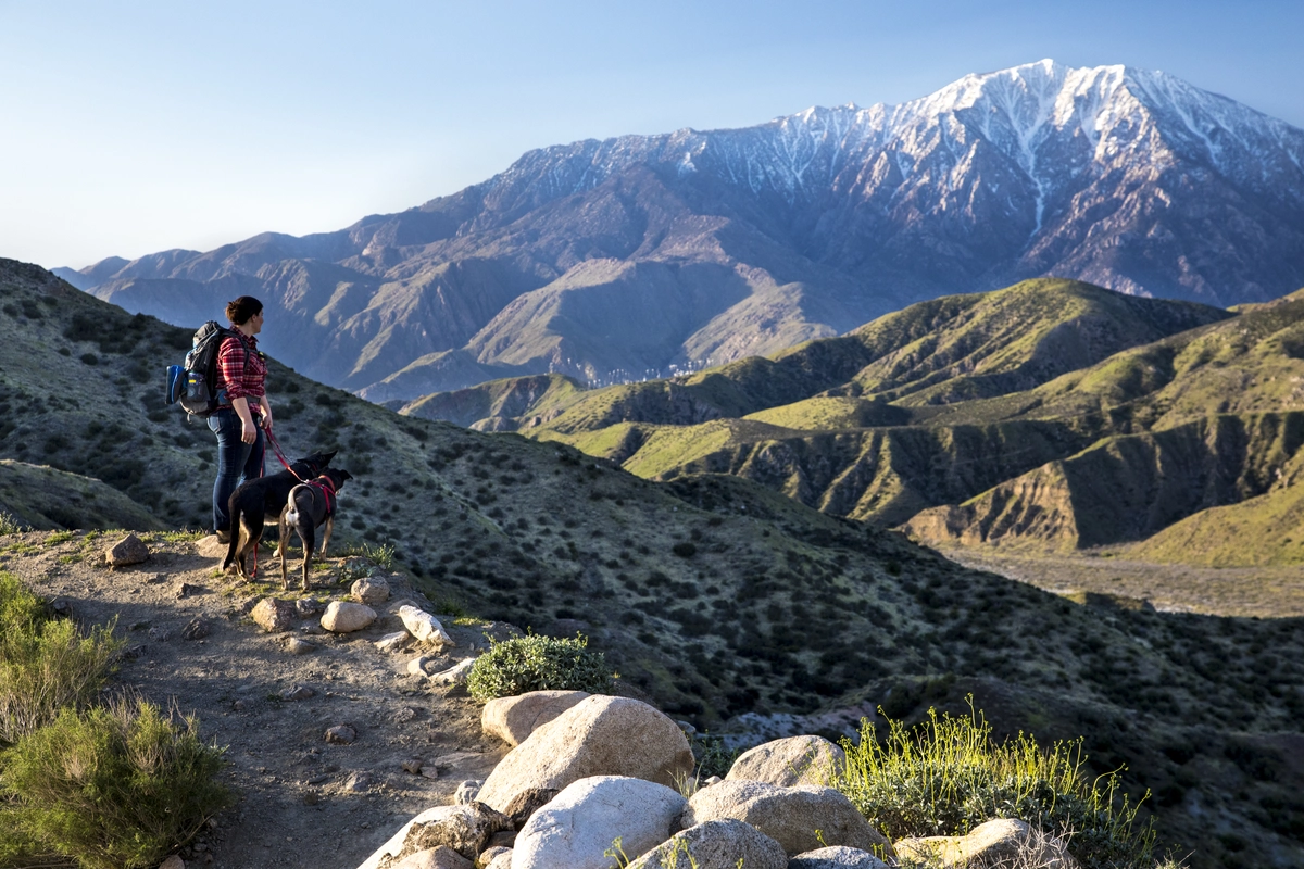 Live Oak Spring via Pacific Crest Trail