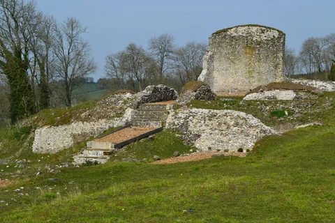 An image depicting the trail Pitton Wood Loop and its surrounding area.