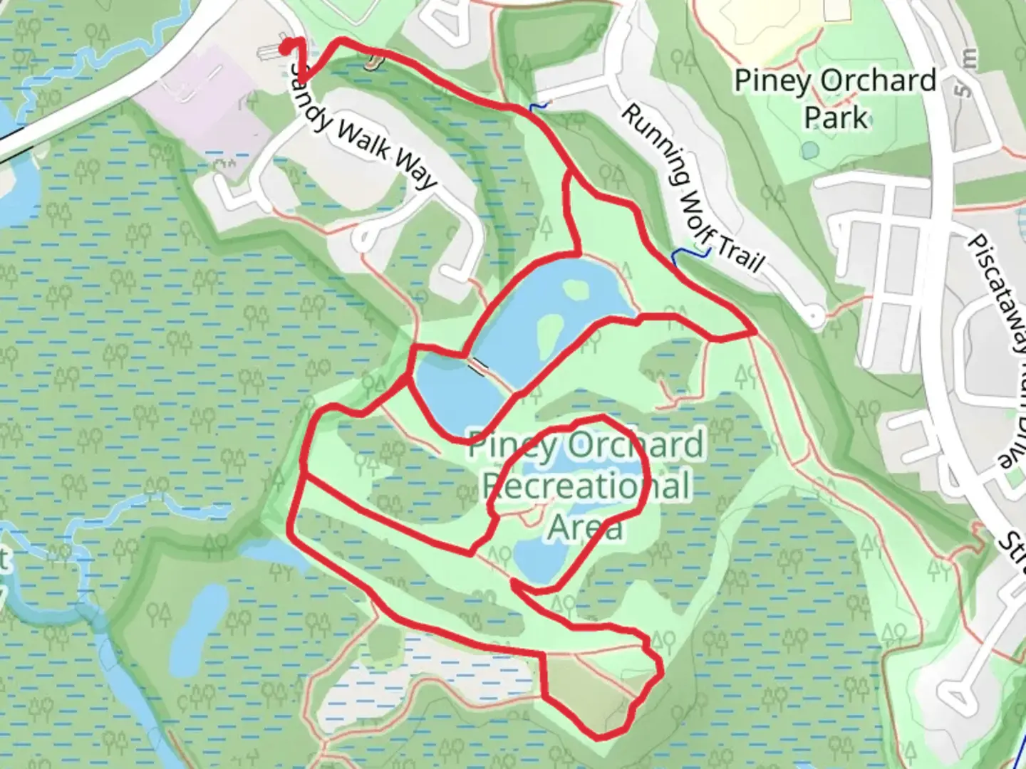 An image depicting the trail Duck Cove Pond, Fox Den and Piney Path Loop and its surrounding area.