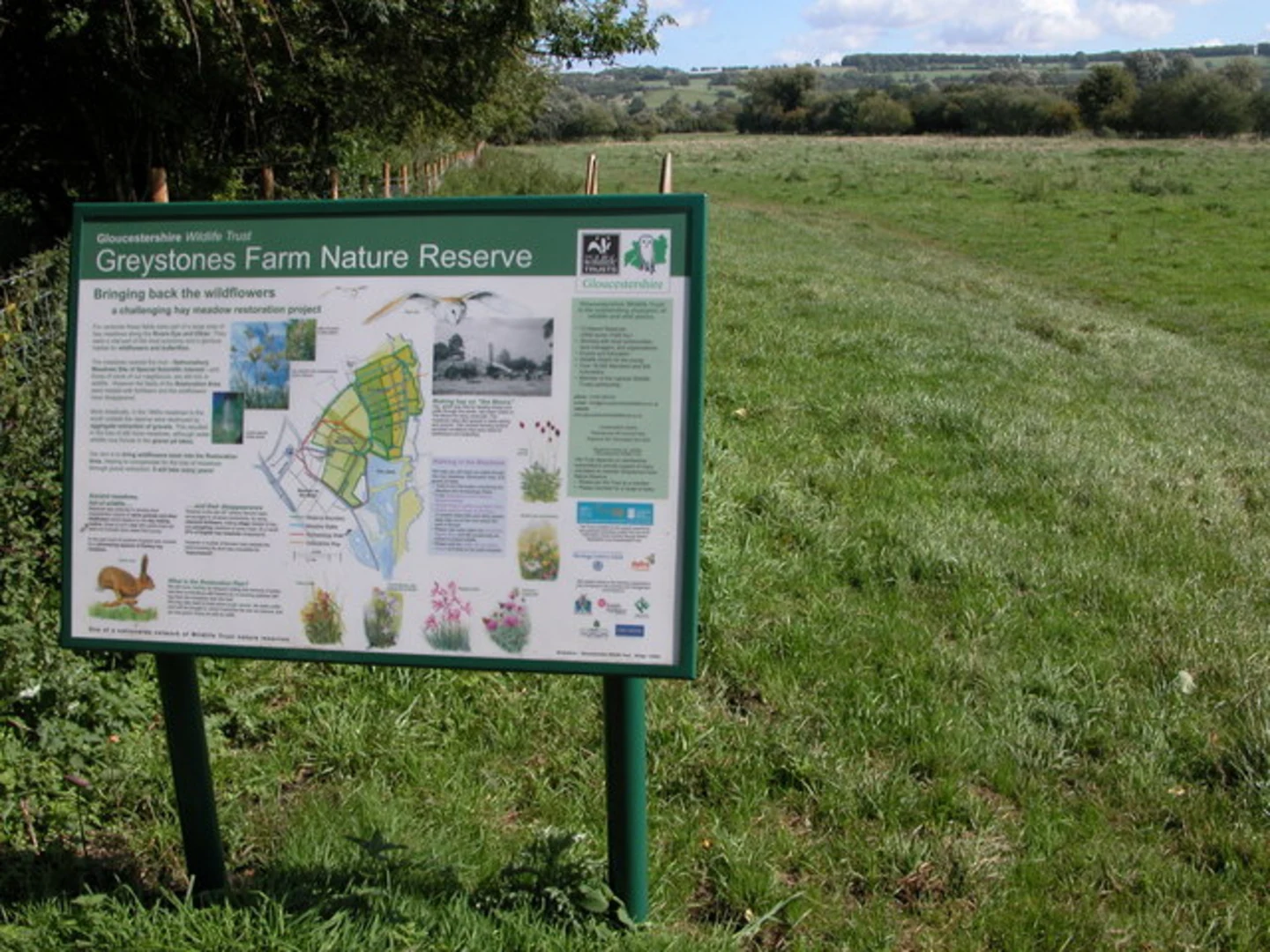 An image depicting the trail Greystones Nature Reserve Loop and its surrounding area.