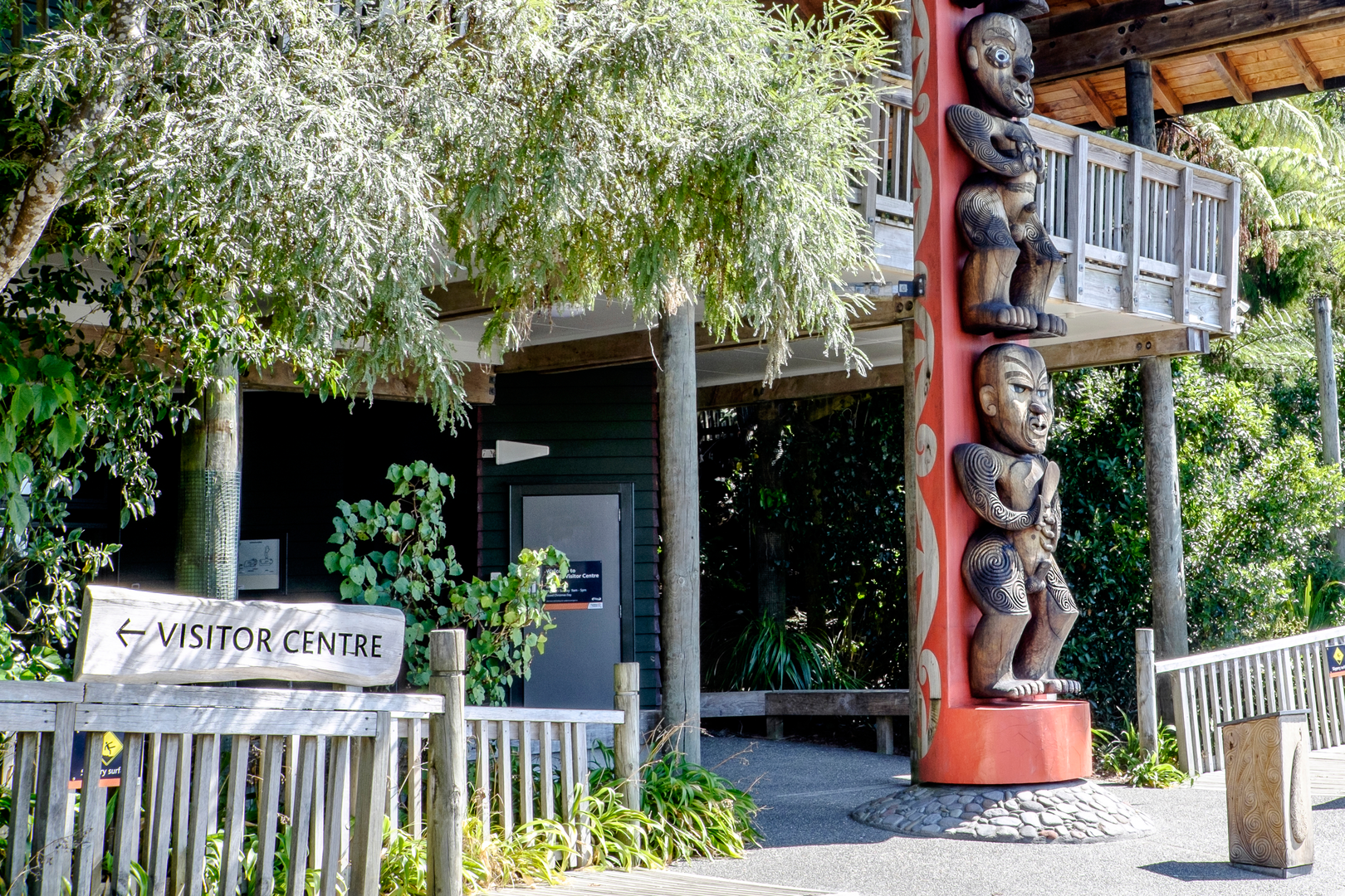 An image depicting the trail Exhibition Drive to Arataki Visitor Center and its surrounding area.