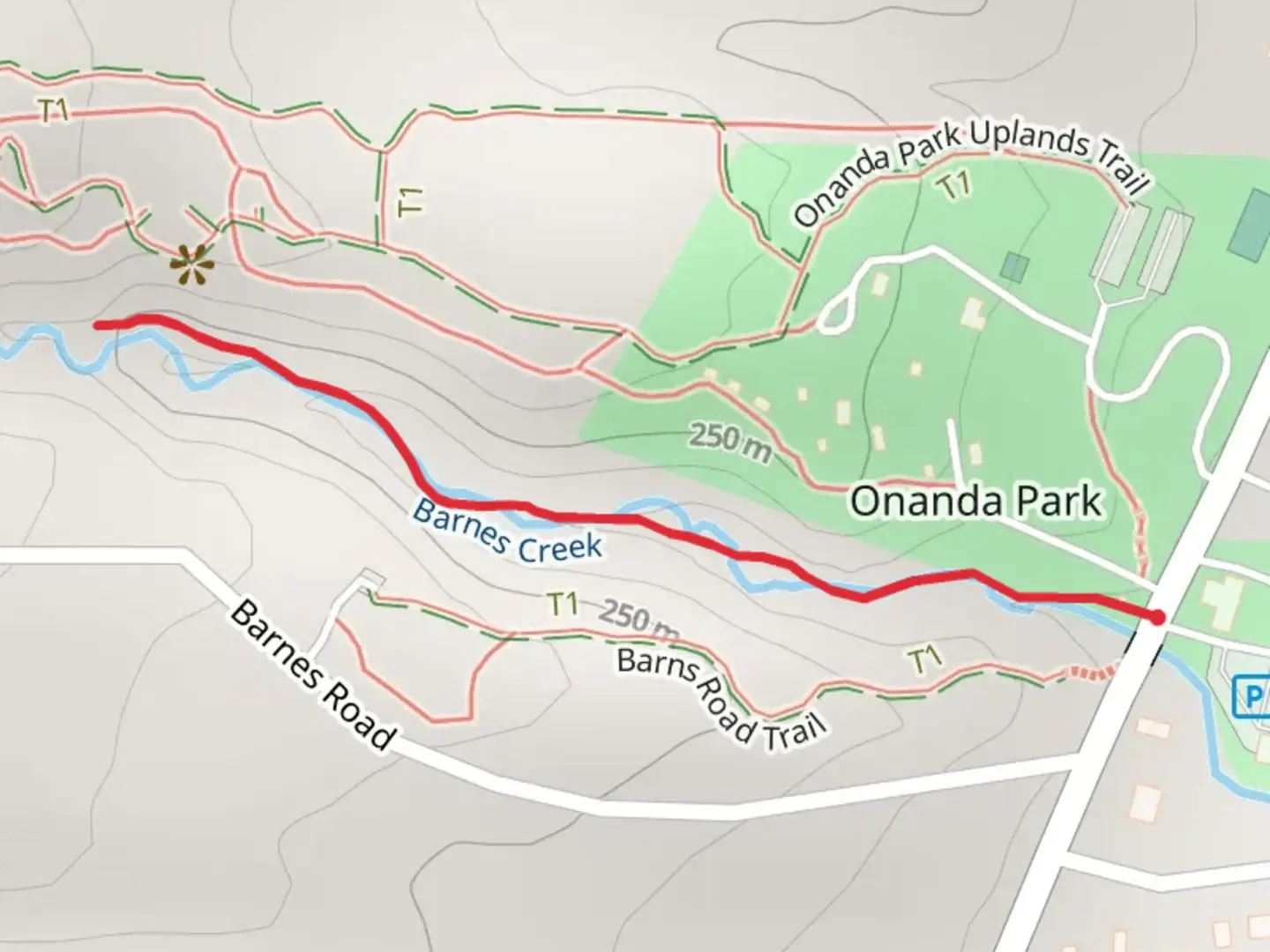 An image depicting the trail Barnes Creek Trail and its surrounding area.