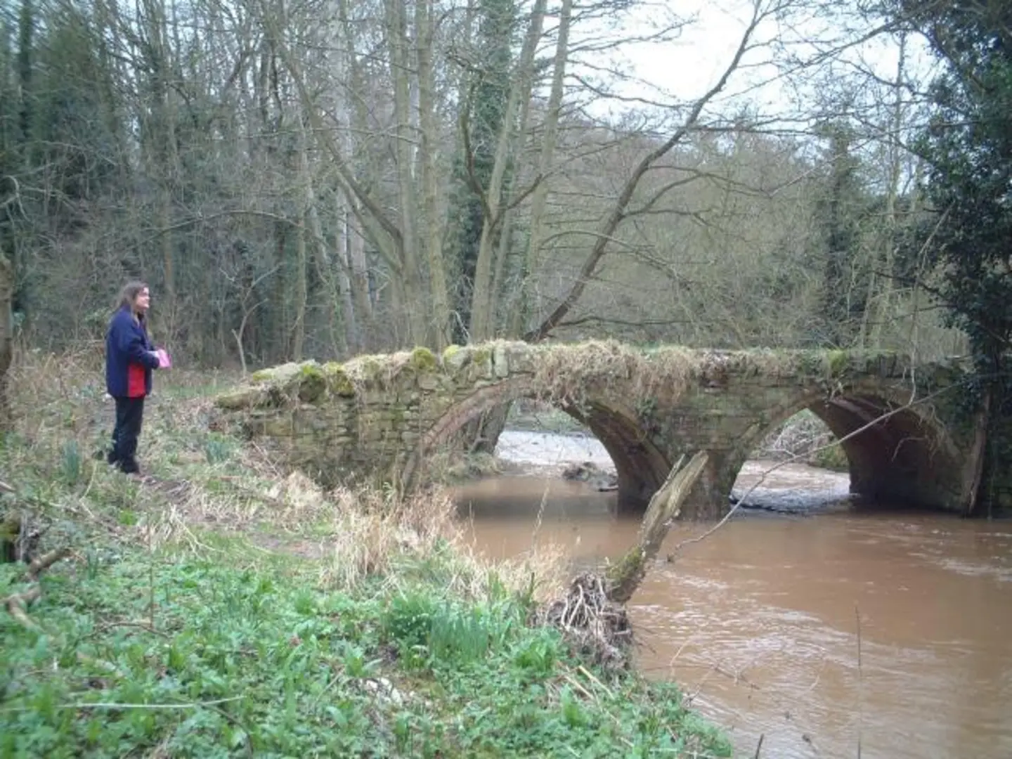 An image depicting the trail The Knapp and Papermill Loop and its surrounding area.