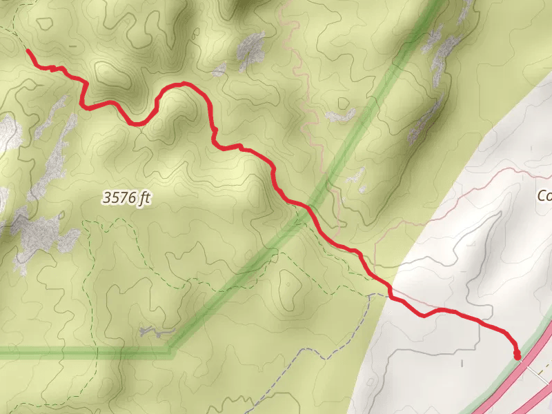 Cottonwood Canyon Trail